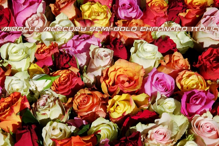 Miracle Mercury Semi-Bold Expanded Italic Example 1