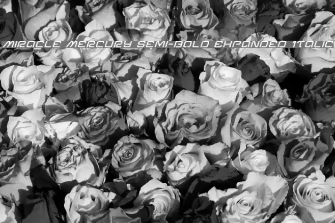 Miracle Mercury Semi-Bold Expanded Italic Font examples