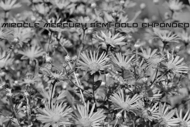 Miracle Mercury Semi-Bold Expanded Example 3