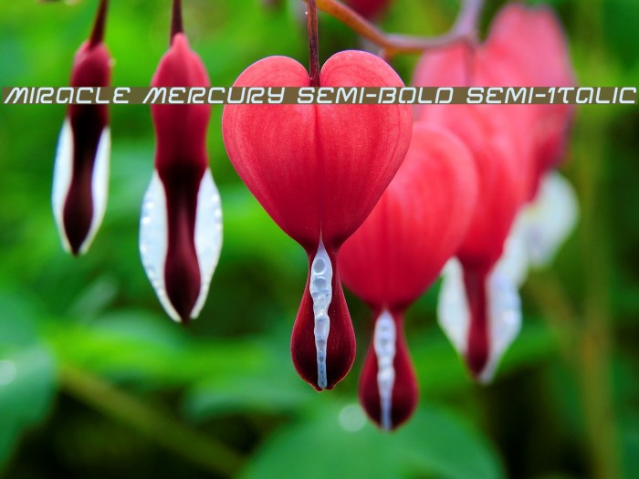 Miracle Mercury Semi-Bold Semi-Italic Example 3