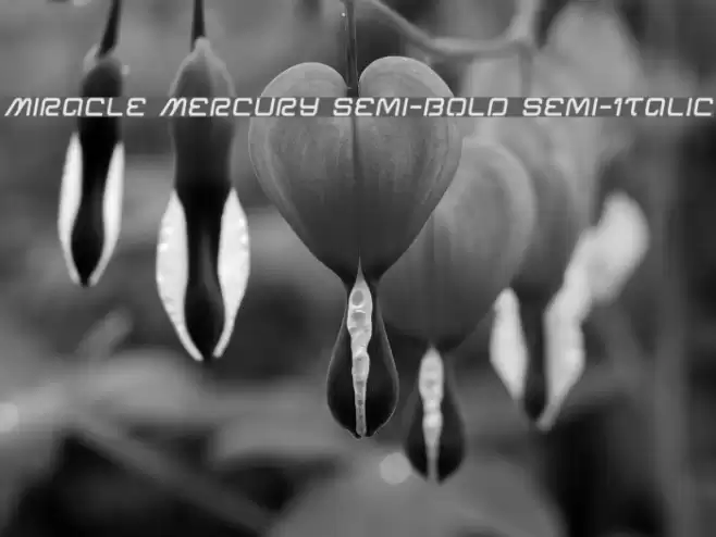 Miracle Mercury Semi-Bold Semi-Italic Font examples