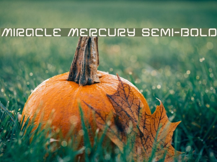 Miracle Mercury Semi-Bold Font examples