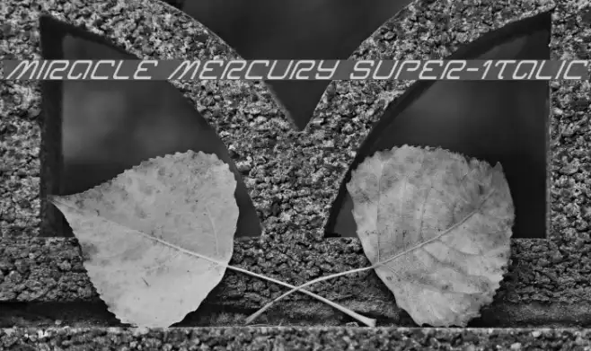 Miracle Mercury Super-Italic Example 2