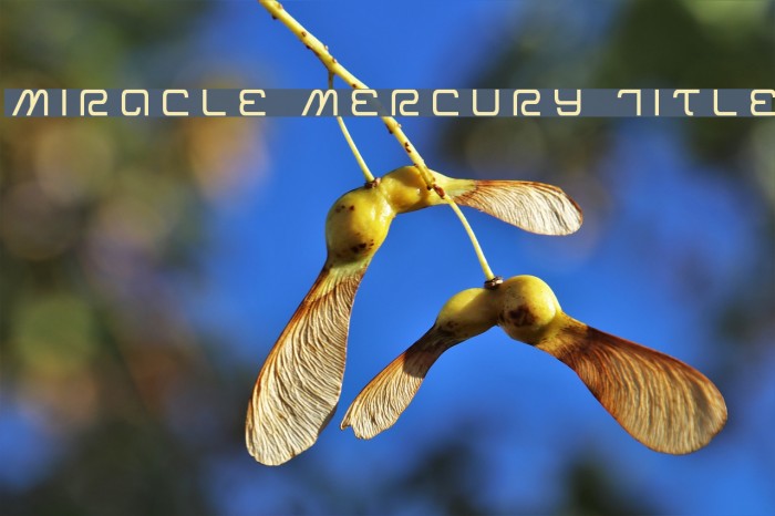 Miracle Mercury Title Font examples