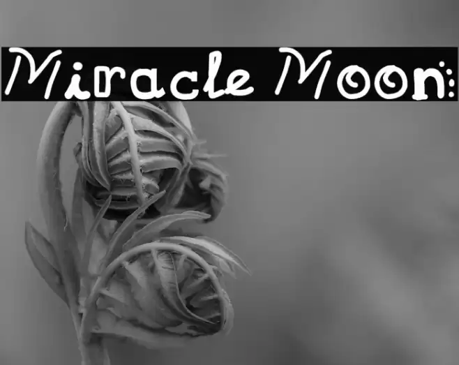 Miracle Moon Font examples