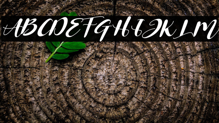 Miracle Nature Italic Example 1