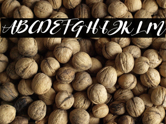 Miracle Nature Italic Example 2