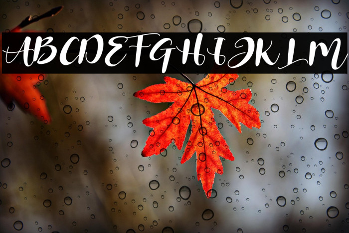 Miracle Nature Example 1