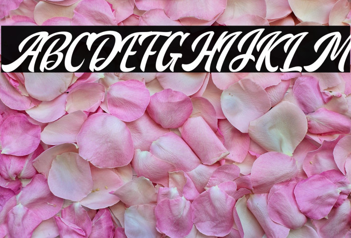 Miracle Personal Use Example 1