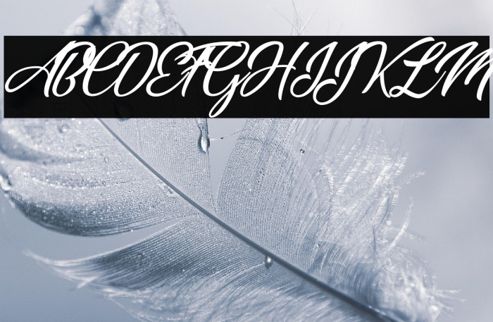 Miracle Place Personal Use  Example 2