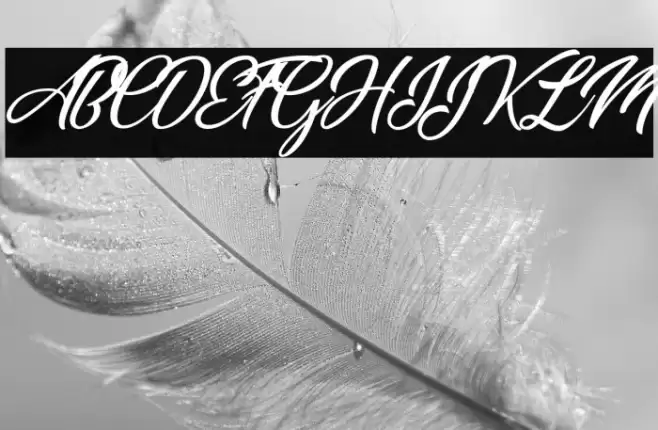 Miracle Place Personal Use  Font examples