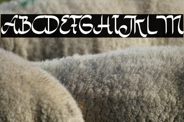 Miracle Ramadhan Example 1