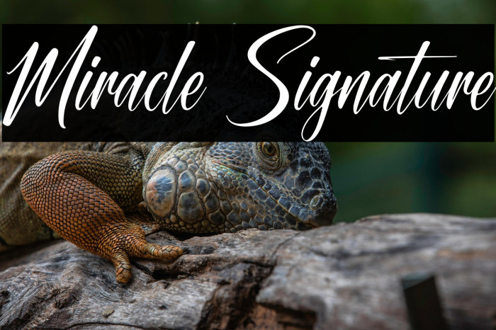 Miracle Signature Example 1