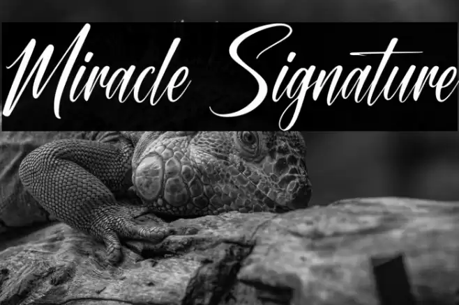 Miracle Signature Font examples