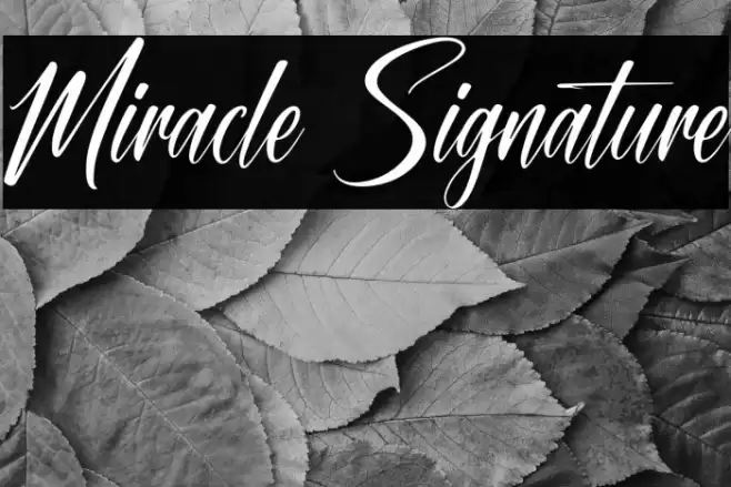 Miracle Signature Font examples