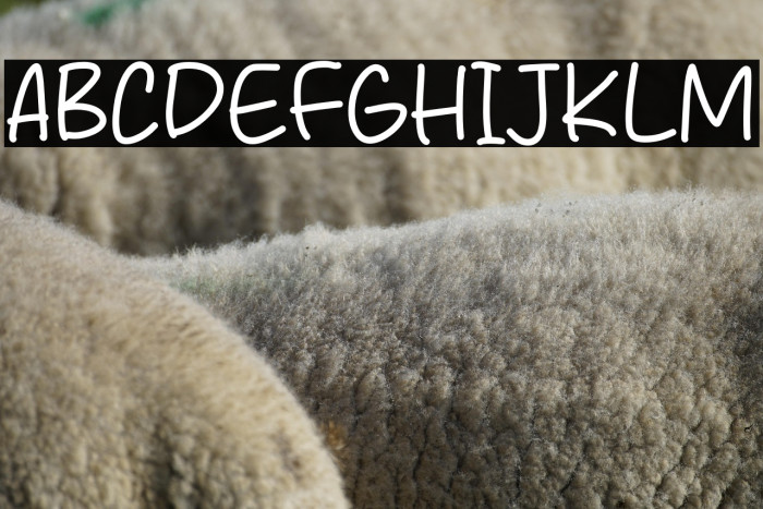 Miracle Spring Example 3