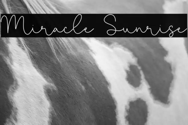 Miracle Sunrise Font examples