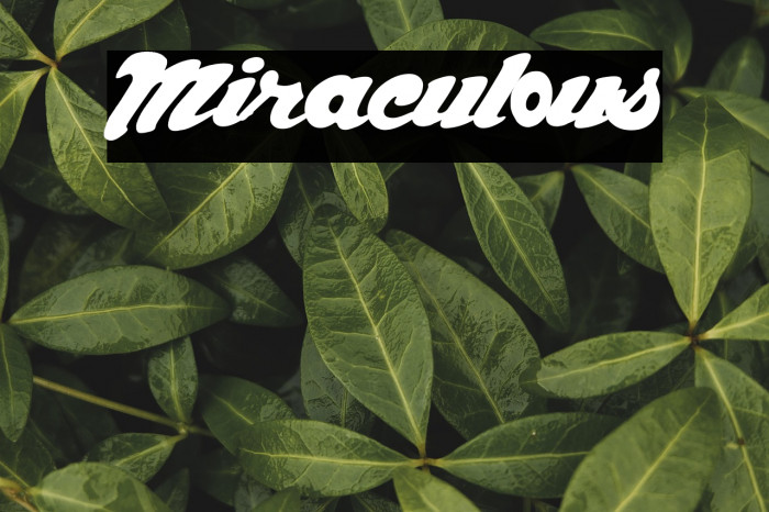 Miraculous Example 2