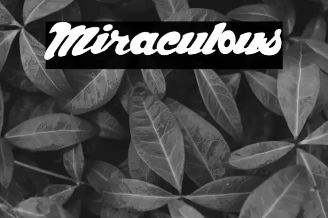 Miraculous Example 2