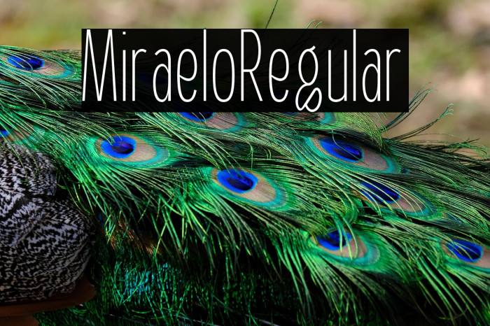 Miraelo Regular Example 2