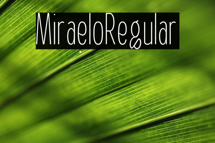 Miraelo Regular Example 3