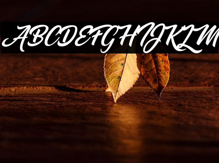 Miraflor Personal Use  Example 2