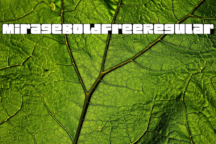 Mirage Bold Free Regular Example 2