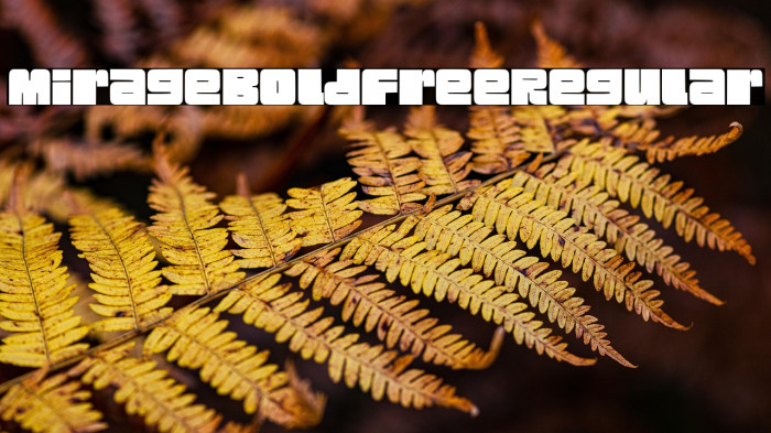 Mirage Bold Free Regular Example 3