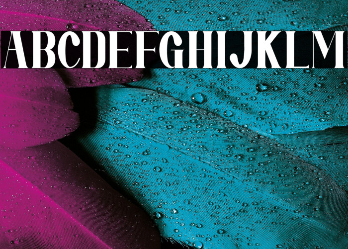 Mirai Futura Example 1