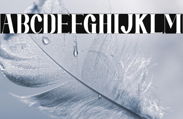 Mirai Futura Example 2