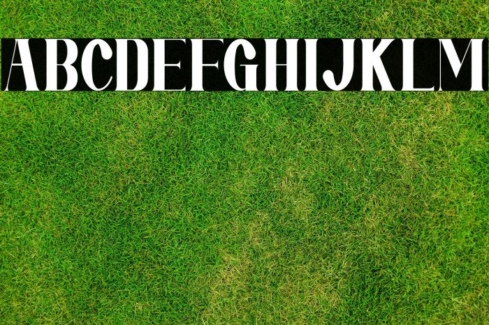 Mirai Futura Example 3