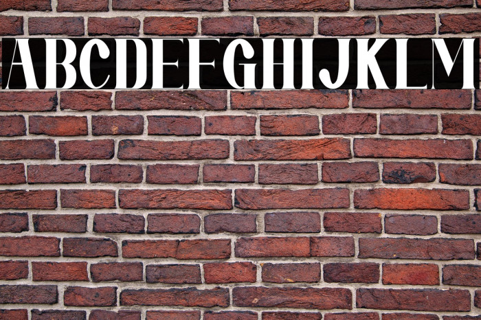 Mirai Futura Example 1