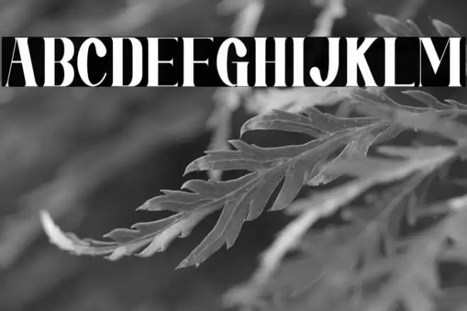 Mirai Futura Font examples