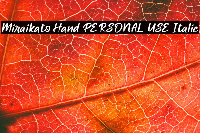 Miraikato Hand PERSONAL USE Italic Example 3