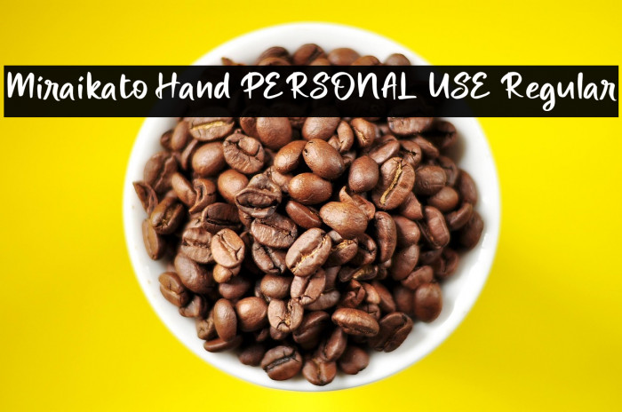Miraikato Hand PERSONAL USE Regular Example 2