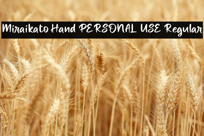 Miraikato Hand PERSONAL USE Regular Example 3