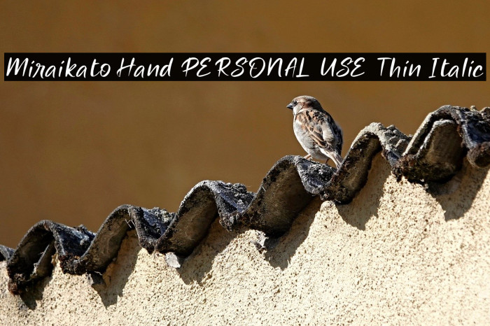 Miraikato Hand PERSONAL USE Thin Italic Example 2