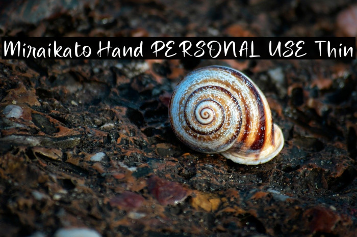 Miraikato Hand PERSONAL USE Thin Example 2