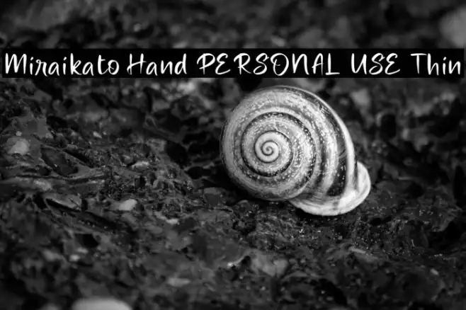 Miraikato Hand PERSONAL USE Thin Example 2