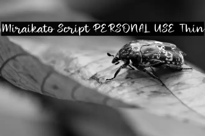 Miraikato Script PERSONAL USE Thin Font examples