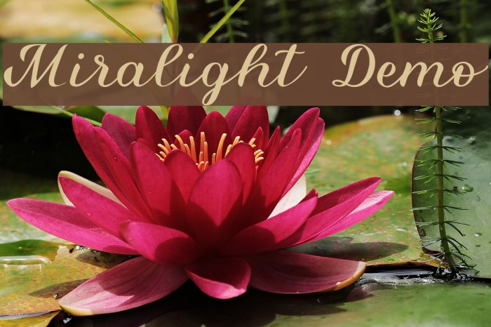 Miralight Demo Font examples