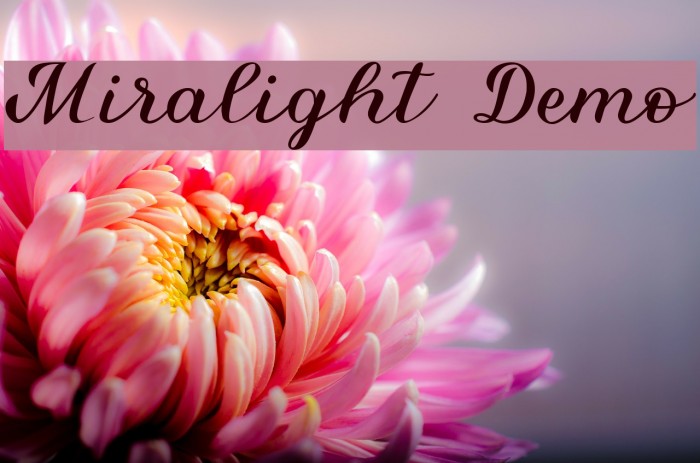 Miralight Demo Font examples