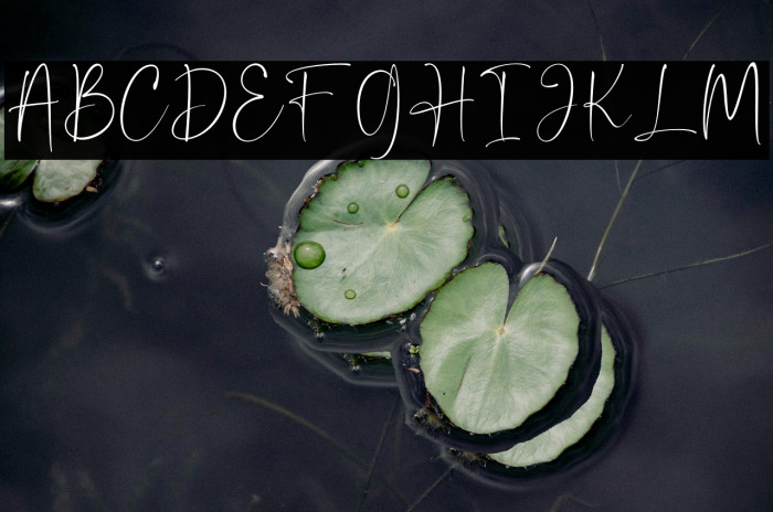 MiralloveRestimond Example 1