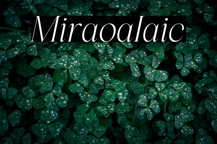 Miralova Italic Example 2