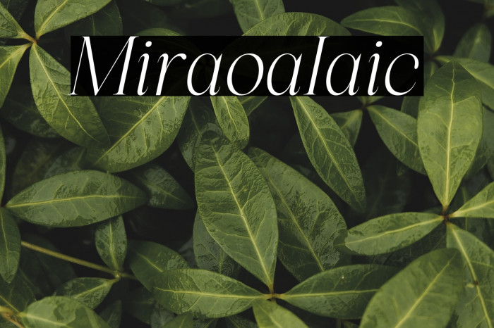 Miralova Italic Example 3