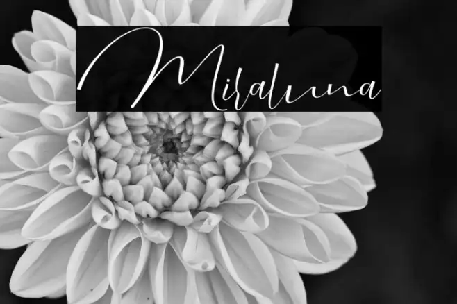 Miraluna Example 1