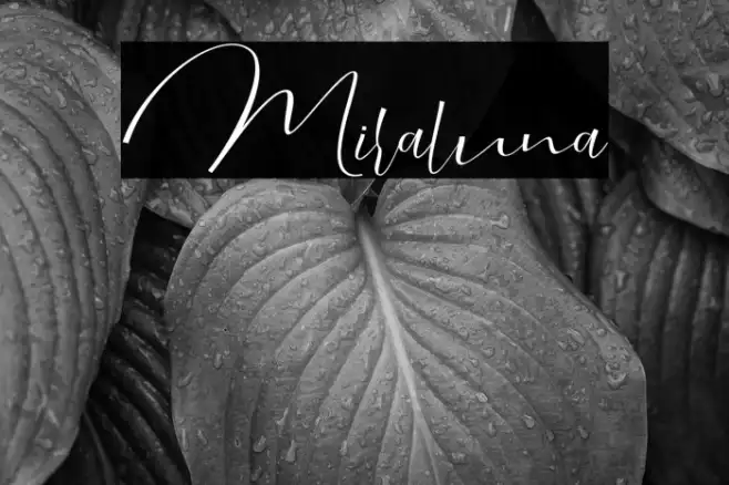 Miraluna Example 3