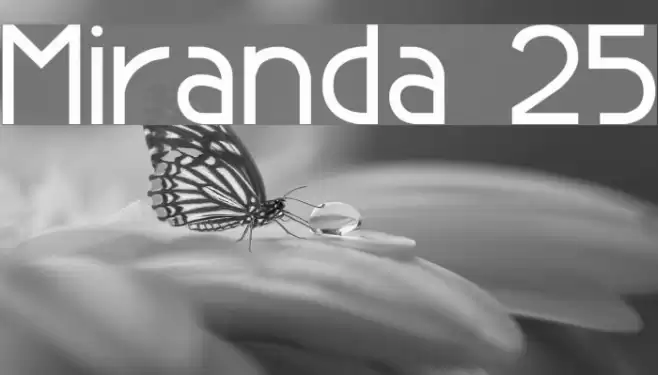 Miranda 25 フォント examples
