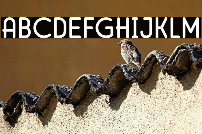 MirandahNormal Example 2