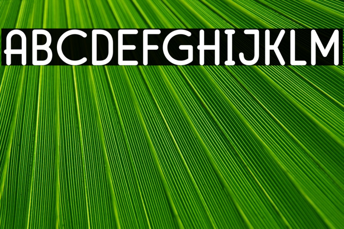 MirandahNormal Example 1